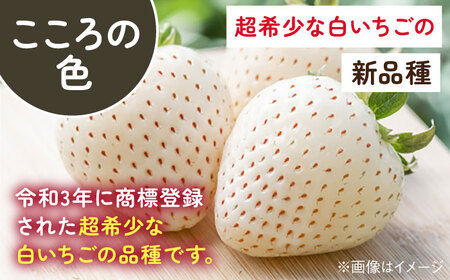 【2026年発送分 先行予約】淡雪・こころの色 白いちごプレミアム 計440g（220g×2パック）/ 岸川農園[41ASAG007]