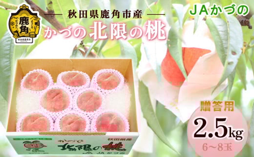 《 先行予約 》 JA 桃 かづの北限の桃 約 2.5kg ( 6～8玉 ) 【JAかづの】●2025年9月上旬発送開始 贈答用 桃 光センサー もも モモ 甘い 果物 フルーツ くだもの グルメ お取り寄せ 人気 ランキング お中元 お歳暮 ギフト 故郷 秋田 あきた 鹿角市 鹿角 送料無料 