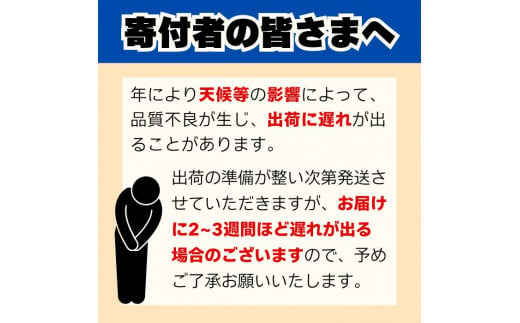 訳あり 愛媛みかん 5kg 人気 みかん 冬 秋 旬 糖度 糖度計 厳選 光センサー選果 柑橘 かんきつ 果物 くだもの 国産 こくさん フルーツ スイーツ デザート ご褒美 みかん 蜜柑 大小 サイ