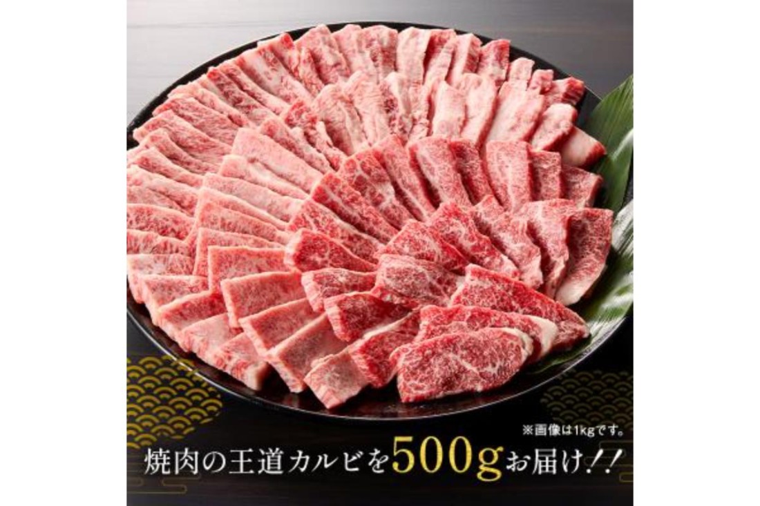 飛騨牛カルビ500g【0016-054】