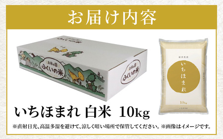 【令和6年産 新米】福井県産 いちほまれ（白米）10kg[B-097001]