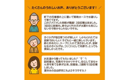 Y201 おうちでかんたん！純国産きくらげ栽培キット