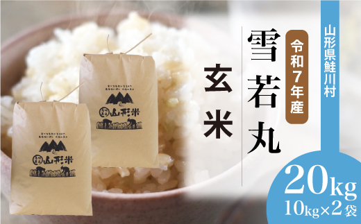 ＜令和7年産米＞ 令和8年9月下旬発送　雪若丸 【玄米】 20kg （10kg×2袋） 鮭川村