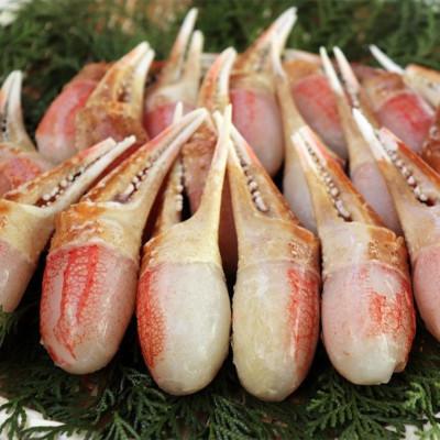 ふるさと納税 田尻町 【約1kg】本ずわいがに 爪肉 加熱用  〈殻剥き不要〉 |  | 01