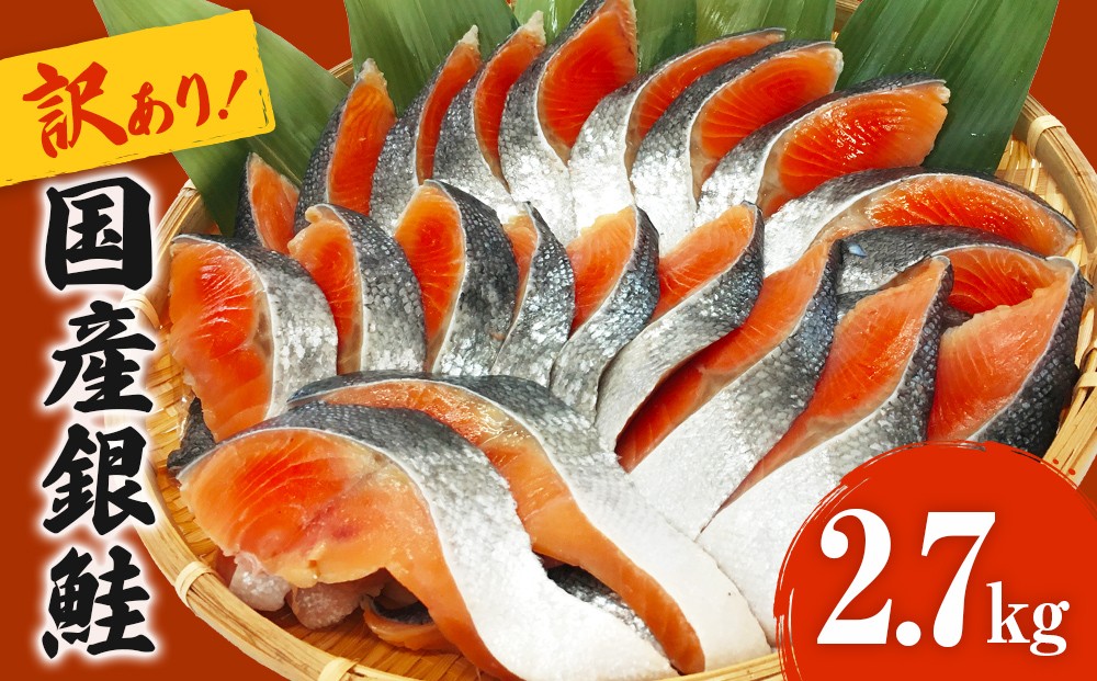 
            《訳あり》 産地直送！ どっさり 2.7kg！ 国産銀鮭 定塩切身
          