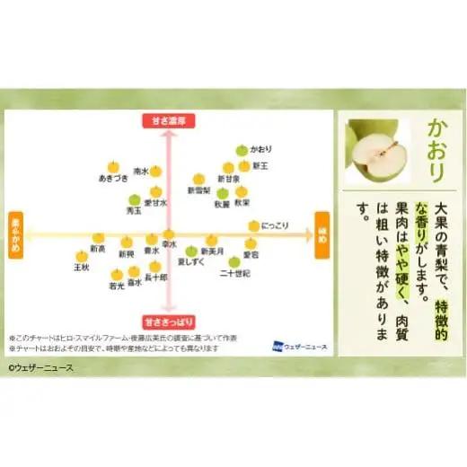※先行予約※【かおり5kg】かまがや育ちの完熟梨（観光組合）