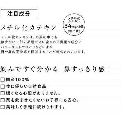 べにふうき緑茶ティーバッグ 2袋　日本茶きみくら【5897】【配送不可地域：離島・沖縄県】