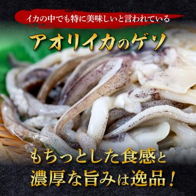 ふるさと納税 田野町 【四国一小さなまち】アオリイカのゲソ★2kg★(500g×4パック) |  | 01