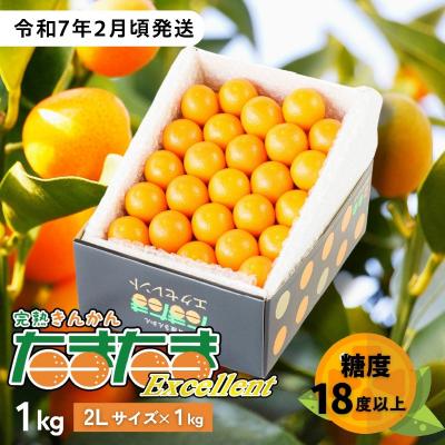 ふるさと納税 高千穂町 完熟きんかん たまたまエクセレント 1kg | 