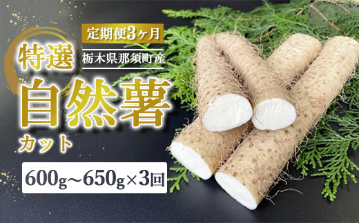 【定期便3ヵ月】那須町産 自然薯（カット）600g～650g ｜とろろ 贈り物 お土産 グルメ 美味しい おいしい 食べ物 那須 栃木県 那須町〔P-213〕