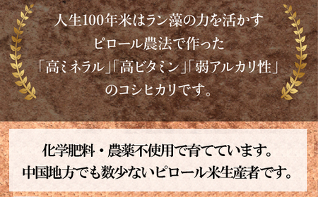 【定期便】人生100年米（ピロール米） 2kg×12ヵ月 ［令和5年産］  ／コシヒカリ 化学肥料不使用 農薬不使用 高ミネラル 高ビタミン 弱アルカリ性