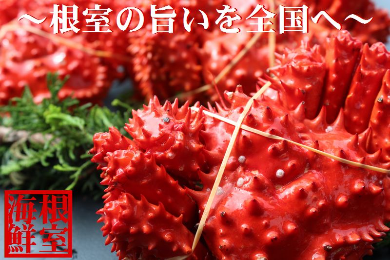 ＜12月21日決済分まで年内配送＞【北海道根室産】花咲ガニ2～4尾(計3.4kg前後) D-57012