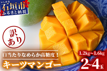 予約受付【訳あり】沖縄県石垣島産 キーツマンゴー 1.2kg～1.6kg【2～4玉】【口当たりがなめらかな 高糖度マンゴー】2025年発送分