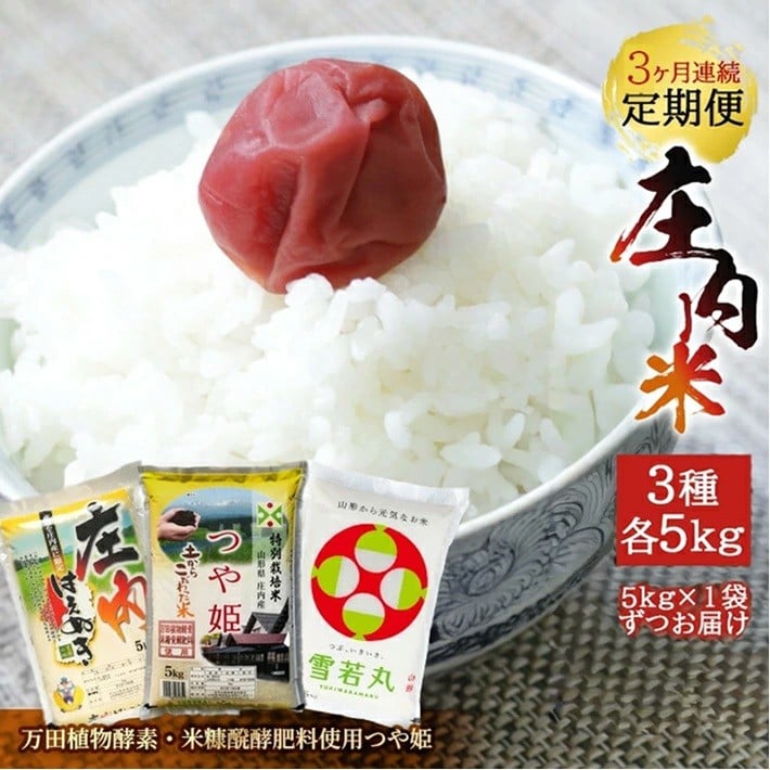 
            【3回定期便】令和7年産［精米］庄内米3銘柄食べ比べ(はえぬき、雪若丸、つや姫(万田植物酵素・米糠醗酵肥料使用))　5kg×3回(計15kg)《農産物検査員おすすめの庄内米》 SY SG0112
          
