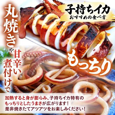ふるさと納税 美浜町 丸焼き丸かぶり!旬真っ盛りの小剣先イカ(子持ヤリイカ)とれたて冷凍便 |  | 02