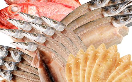 【定期便】いずま海産の干物頒布会【4回お届け】干物