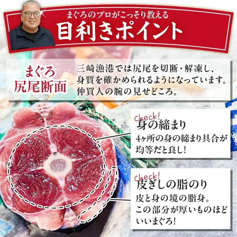 （全5回配送）天然！三崎まぐろ大トロ・中トロ・赤身 お刺身定期便 M005-T02 冷凍 マグロ 定期便