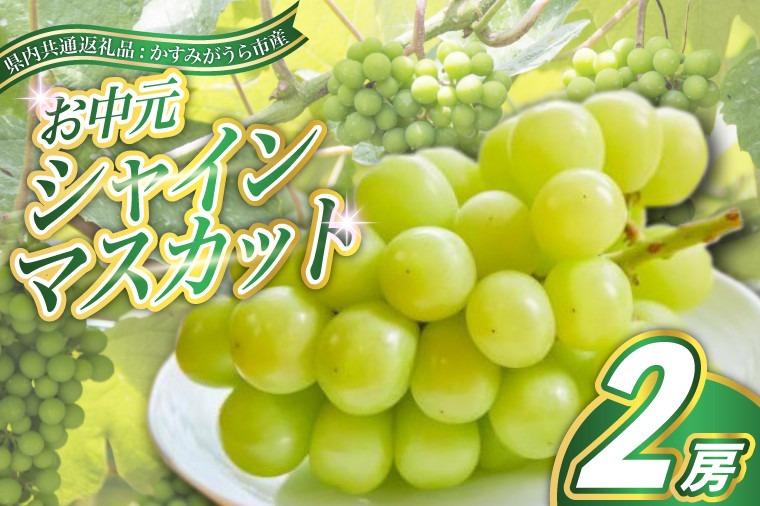 
            ＜2025年8月より順次発送予定＞お中元　シャインマスカット2房(県内共通返礼品:かすみがうら市産) (BR114)
          