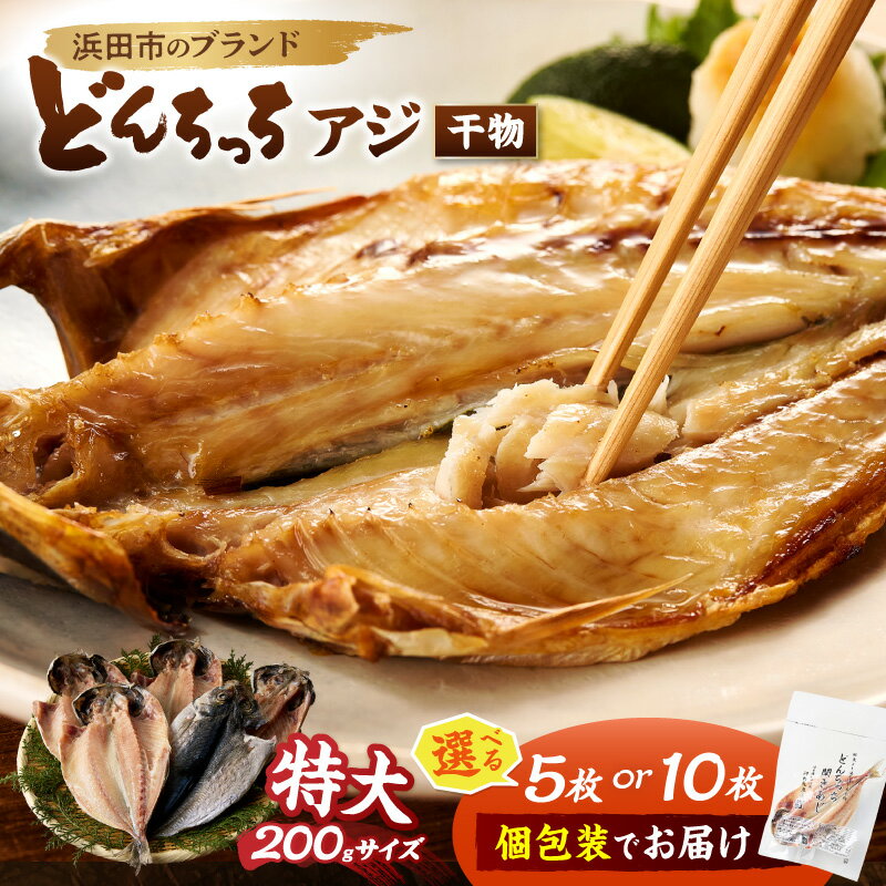 【ふるさと納税】浜田市のブランド「どんちっちアジ」干物特大（200gサイズ）5枚 10枚 個包装 選べる 内容量