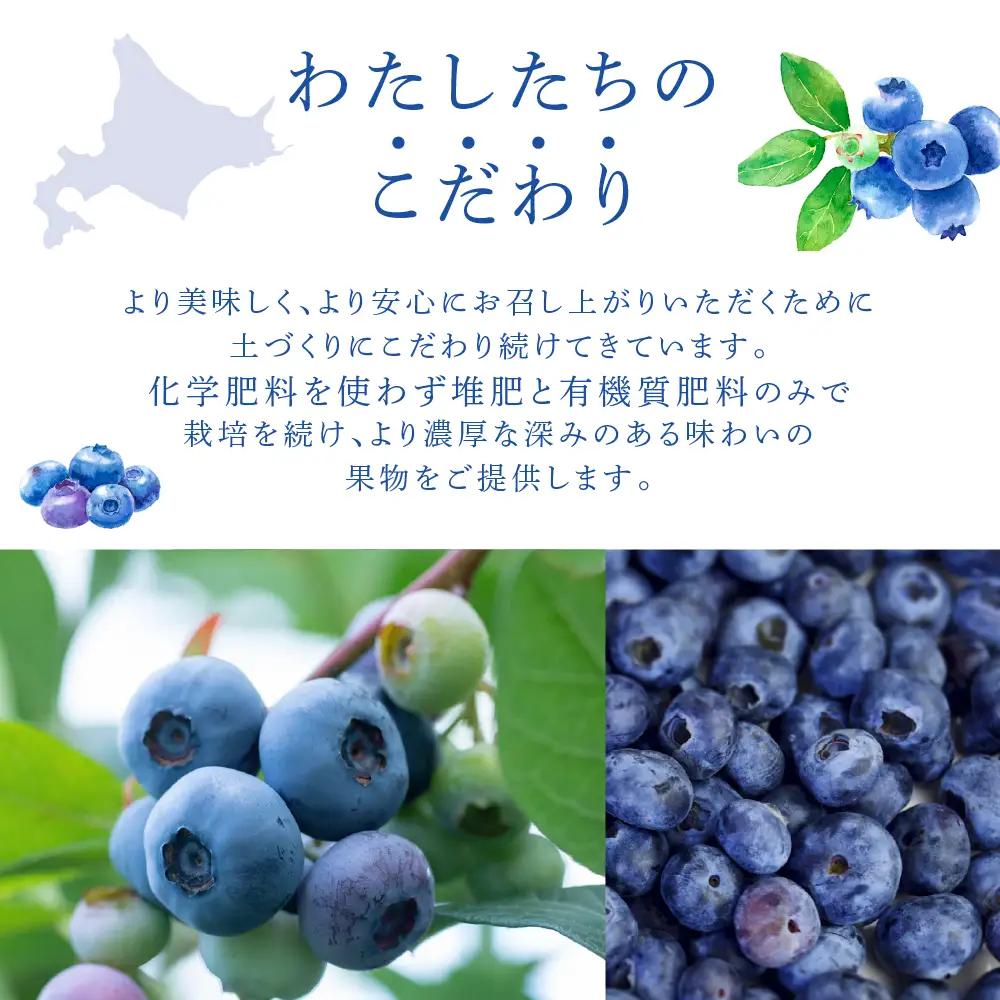 ブルーベリー 1kg 8品種 冷蔵 大粒 小粒 北海道