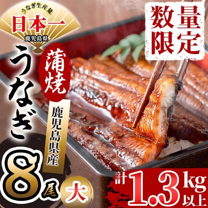 鹿児島県産 伊崎田のうなぎ蒲焼 大＜170g以上＞× 8尾(計1.3kg以上) うなぎ 鰻 ウナギ 国産 鹿児島県産 九州産 蒲焼き 冷凍 うな重 ひつまぶし e4-005