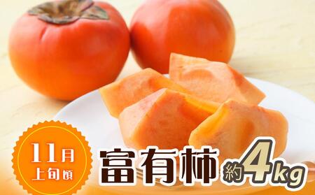 【魚鶴商店厳選】和歌山人気のフルーツ定期便（柿・みかん）【定期便全3回】