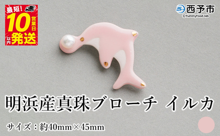 保証書付＜明浜産 真珠ブローチ イルカ（桃色）＞ 8.0～8.5mm 純国産 高品質 アコヤ真珠 宇和海 パール アクセサリー ピンク 陶器 ファッション レディース 小物 女性 誕生日 記念日 佐藤