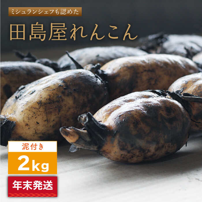 【ふるさと納税】【年末発送】【先行予約】 れんこん（泥付き） 2kg【田島屋れんこん】 蓮根 レンコン 根菜 野菜 白石町産 年内発送 年内配送 お正月用 佐賀県 白石町 [IAV004]