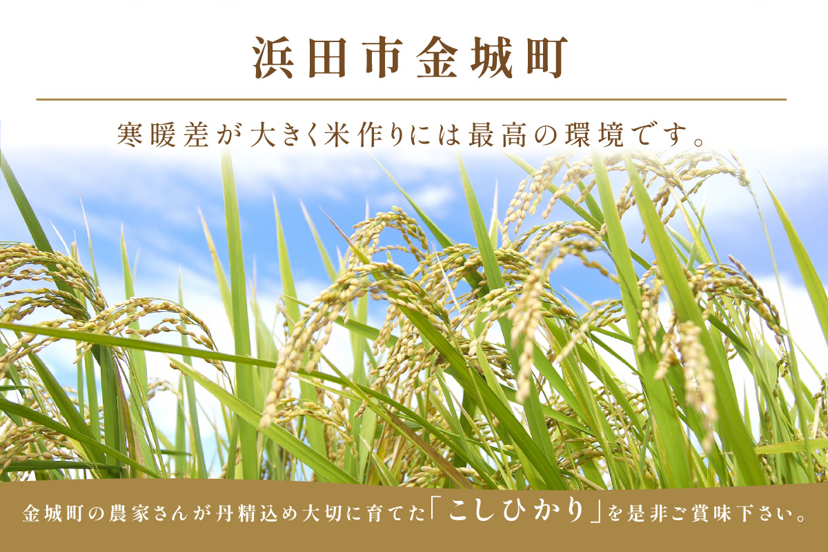 【令和7年産】【定期便】浜田市金城町産「こしひかり」（５ｋｇ×３回コース）定期便 3回 お取り寄せ 特産 お米 精米 白米 ごはん ご飯 コメ 新生活 応援 準備 【058_1856】