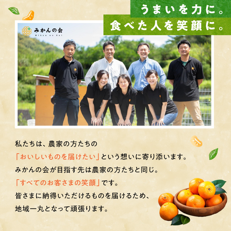 MK1051_【2025年先行予約】みかん 山から直送 箱込 7.5kg ( 内容量 6.8kg ) 鮮度優先ごろごろ規格 和歌山県産 産地直送 【みかんの会】_イメージ4