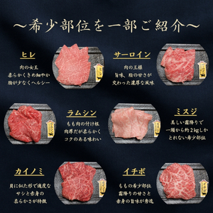 京都府産黒毛和牛【京の肉】 希少部位入り焼肉セット梅 6種盛 600g(100g×6) 包装・のし対応なし