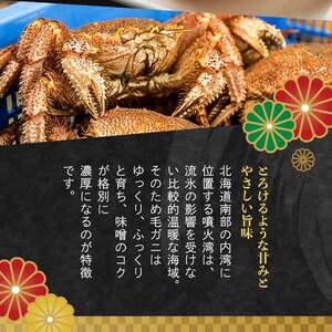 【訳あり】北海道・噴火湾産冷凍ボイル毛ガニ約350g前後×1尾 ＜海鮮問屋　株式会社　瑞宝＞ かに カニ 蟹 ガニ がに 森町 ふるさと納税 北海道 毛蟹 毛かに 毛ガニ 毛カニ mr1-1276