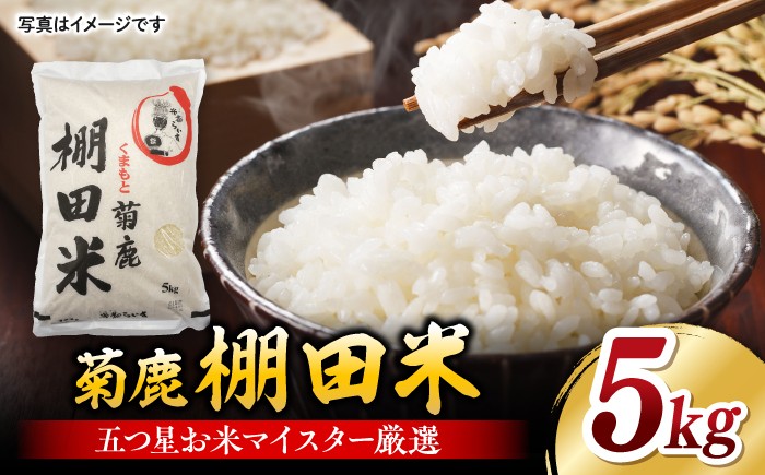 
                  菊鹿 棚田米 5kg【ミヤタ 株式会社 】お米 こめ 米 精米 くまさんの輝き 熊本県 特産品 山鹿  [ZAH001]
                