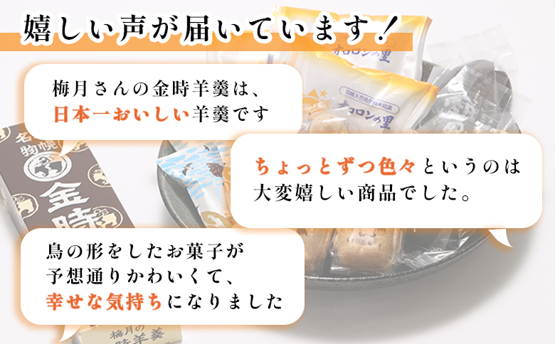 【熨斗対応】御菓子司梅月　銘菓詰め合わせセット（5種13個入）【1110701】