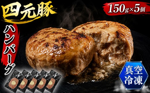国産 四元豚 ハンバーグ 小分け 真空パック 150g 5個 ／ ありすぽーく ポーク 豚 ぶた 肉 にく 豚肉 総菜 惣菜 洋風 洋風総菜 洋風惣菜 おかず 小分け包装 個包装 真空 冷凍 冷凍発送 省スペース 解凍いらず 解凍不要 焼くだけ 簡単調理 時短調理 手軽 簡単 便利 時短 １５０ｇ ５個 冷凍食品 冷食 自宅用 家庭用 人気 おすすめ 仕送り
