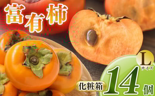 富有柿 L 14個セット 化粧箱 1段 | フルーツ くだもの 果物 柿 かき カキ 富有柿 フユウガキ ふゆうがき 奈良県 五條市 スイーツ おやつ お菓子 手土産 お土産  産地任せ 旬の柿 産地直送 国産 ご家庭用 ご自宅用 敬老の日 ギフト プレゼント 種有り