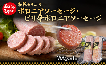 和豚 もちぶた ボロニア ピリ辛ボロニアソーセージセット 各1本 和豚 もち豚 豚肉 ポーク お肉 ピリ辛 肉 豚 ぶた ブタ 加工肉 アウトドア