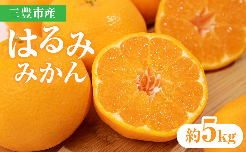 
            【ふるさと納税】【先行予約】【配送不可地域：北海道・沖縄県・離島】三豊市産はるみみかん 約5kg  秋 旬
          