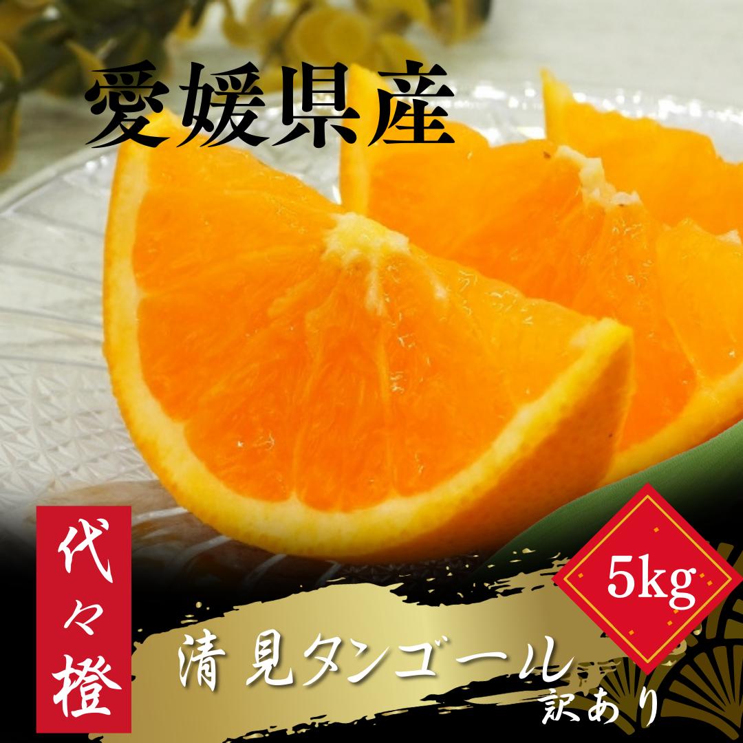 
                  【先行受付】【トロッととろける果実】【訳あり】清見タンゴール 5kg【C83-16】【1549106】 YWTW016
                