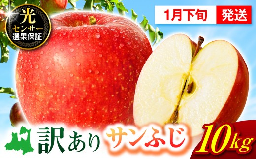 【先行受付】【2027年1月下旬発送】 サンふじ青森 訳あり りんご 10kg 程度 五所川原 不揃い