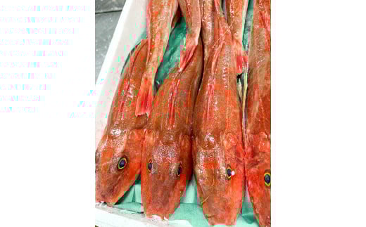 こだわりの旬のお魚を気持ちを込めてお届けします。