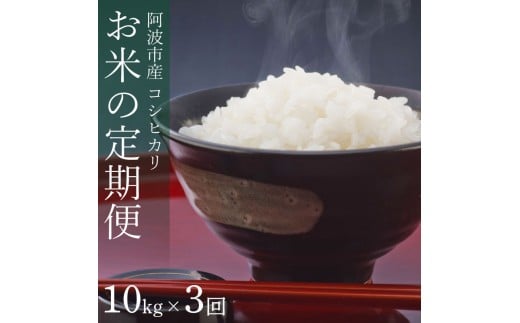 定期便 3回 米 コシヒカリ 10kg 令和7年産 米 こめ ご飯 ごはん おにぎり 白米 精米 卵かけご飯 食品 備蓄 備蓄米 保存 防災 ギフト 贈答 プレゼント お取り寄せ グルメ 送料無料 徳島県 阿波市 栗栖農園