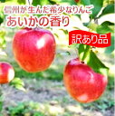 【ふるさと納税】傷等訳あり・ご家庭用　甘い!希少!りんご　幻のあいかの香り　（りんご・リンゴ・林檎）　長野県　伊那市　あいかの香り　与古美