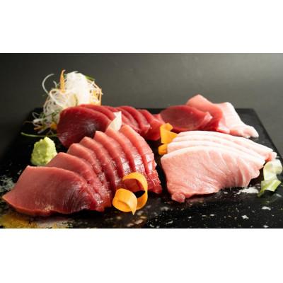 ふるさと納税 高野町 【年末12/25〜30発送予定】和歌山県串本産　本マグロ(養殖)トロ&amp;赤身セット　500g(冷凍)