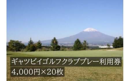 ギャツビイゴルフクラブ ゴルフ場 利用券 20枚