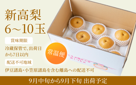 【先行予約】有機配合肥料使用 新高梨 6玉から10玉 2025年9月中旬から9月下旬 出荷予定【春光園】 梨 なし 果物 フルーツ