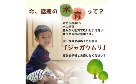 ジャガツムリ ～知育玩具 積み木～