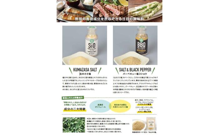 北のささ塩 Bセット（北のささ塩100g×3袋・SIO75g×4本・BBQ75g×4本）《足寄町》【株式会社北のささ】塩 しお ソルト 卓上 黒コショウ 料理 調味料 おにぎり アウトドア 北海道産 