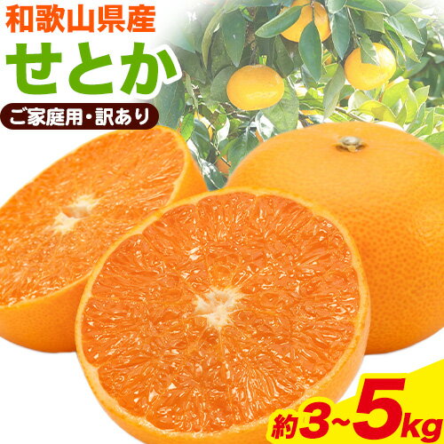 【ふるさと納税】【家庭用 訳あり】とろける食感!ジューシー柑橘 せとか 約 3kg 約 5kg 魚鶴商店 《2月上旬-3月中旬頃出荷》 和歌山県 日高町 みかん 柑橘 果物 フルーツ 送料無料
