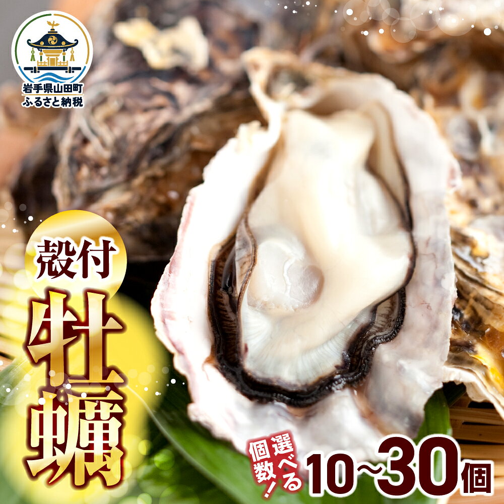 【ふるさと納税】【産地直送】 先行予約 12月以降順次発送 三陸山田産 殻付き 牡蠣 10個 20個 30個 大福丸 岩手県 三陸山田 山田町 山田湾 三陸 海産品 かき カキ 牡蠣